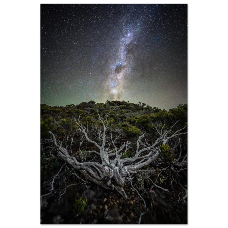 Astrophotographie